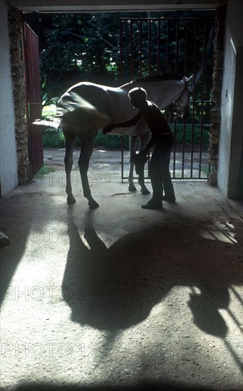 CUBA, Havana , Havana , Lenin Park horse stables