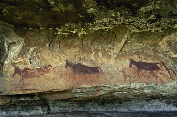 SOUTH AFRICA, KwaZulu Natal Kamberg, Kamberg, Bushmen San Rock art paintings of animals at Christmas cave