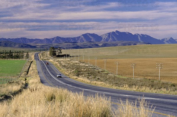 SOUTH AFRICA, Western Cape , "Wine area along the National road between Swellendam and Sonder End, mountains and dramatic sky in background "