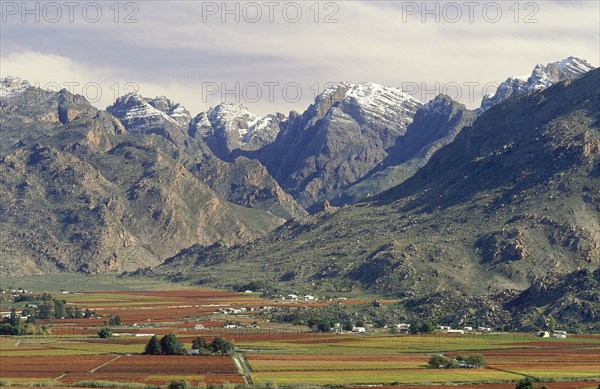 SOUTH AFRICA, Northern Cape, Hex River Valley, Wine area with flat cultivated land below snow capped mountains