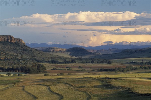 SOUTH AFRICA, Orange Free State, "Near Ficksburg, rural scene with dramatic sky. "