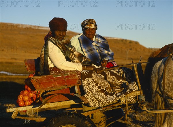 SOUTH AFRICA, Orange Free State, Tribal Peoples, "Basotho women in horse drawn cart, oranges on back. "