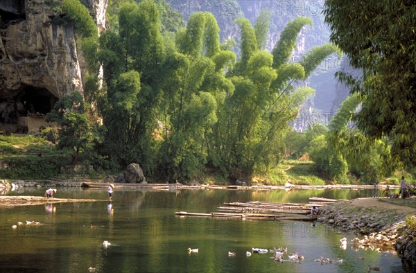 CHINA, Yangshou Province, Fisherman on the bank of a tree lined river with boats by the other bank