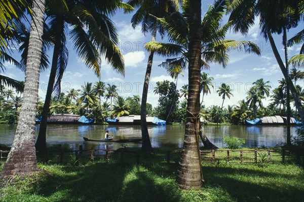 INDIA, Kerala, Backwaters , Old rice boats moored against far bank of canal with passing man in canoe.  Palm trees lining bank in foreground.