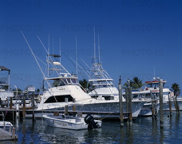USA, Florida , The Keys, Fishing boats in harbour