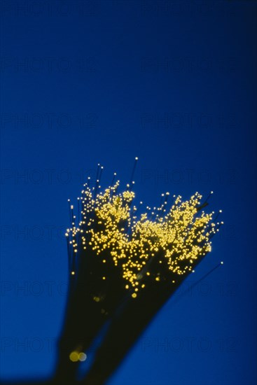 COMMUNICATIONS, Fibre Optics, Detail of the illuminated ends of fibre optic cables