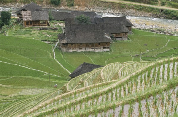 CHINA, Guangxi, Farming, Farmer in rice terrace paddy with farm bulidings and river below  rice terraces