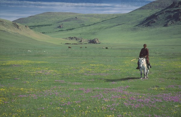MONGOLIA, People, Mongolian Horseman in green valley