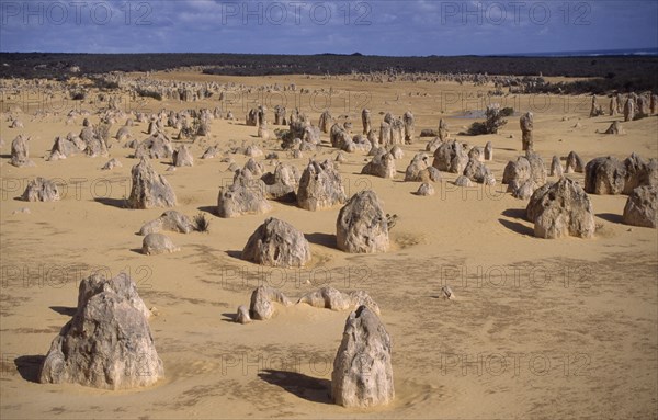 AUSTRALIA, Western Australia, Nambung National Park, The Pinnacles. View  over the desert landscape with scattered limestone pillars