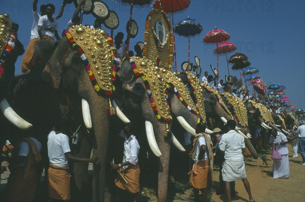 INDIA, Kerala, Trichur , The Great Elephant March. Decorated elephants standing in line with handlers
