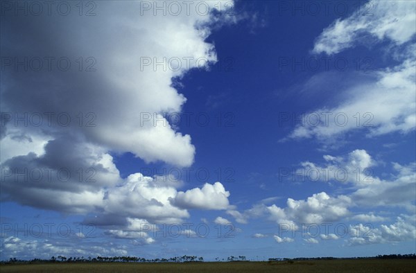 WEATHER , Climate, Clouds , "Dramatic clouds in a blue sky over the Everglades, Florida"