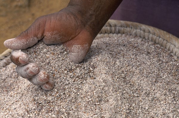 SOUTH AFRICA, KwaZulu-Natal , Shakaland , "Eshowe.  Zulu beer making, detail of a hand in a basket of an ingredient called ground sorgum."