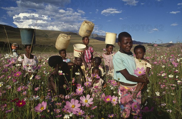 SOUTH AFRICA, KwaZulu Natal, Loteni, Zulu children carrying tubs of water on their heads in colourful field with pink flowers