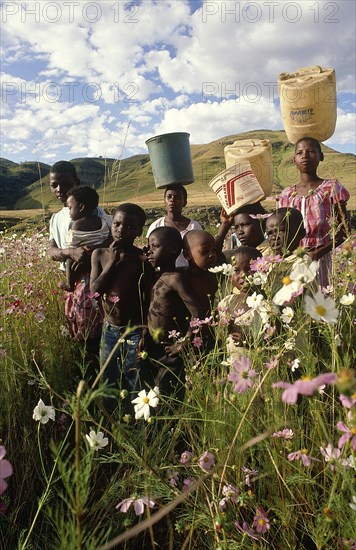 SOUTH AFRICA, KwaZulu Natal, Group of children carrying tubs for water on their heads in field of flowers