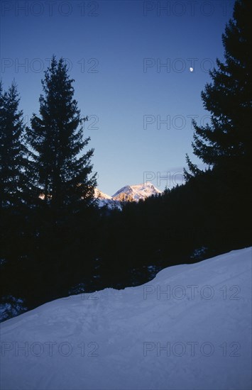 FRANCE, Rhone Alps, Mont Blanc, View from snow covered hillside through trees to sunlit mountain peak at dusk
