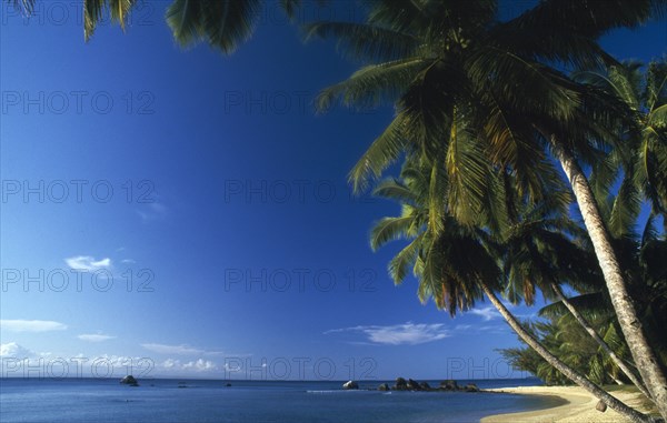 MADAGASCAR, Isle St Marie, Empty beach scene with palm lined shore