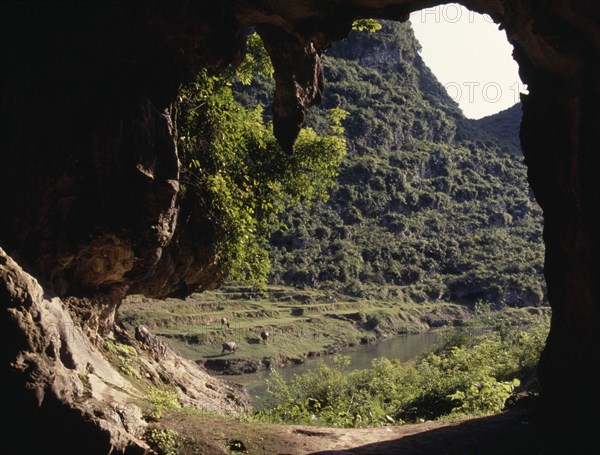 CHINA, Guangxi, Rongshui , Looking out from Limestone Cave to cattle grazing on riverside terraces