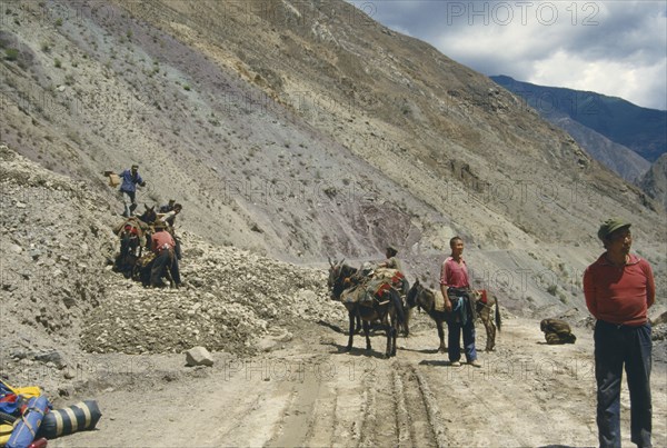 CHINA,  Mekong Valley, Men with donkeys at landslide