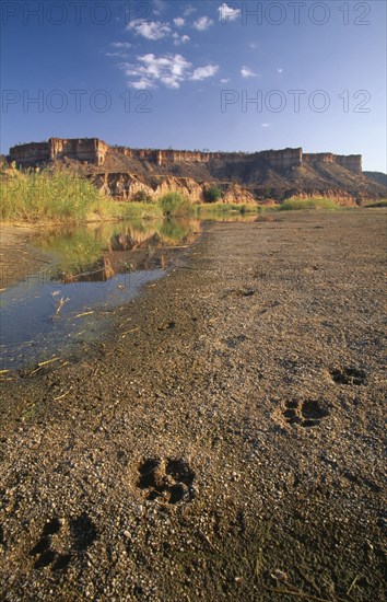 ZIMBABWE, Masvingo, Gonarezhou National Park, Landscape view of flat topped mountain and a stream in the foreground with lion fooprints in the sand