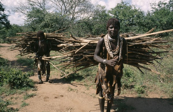 ETHIOPIA, Indigenous People, Hamer women collecting firewood.