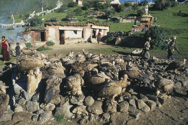 TIBET, Lhasa, Drigung Tli, Sky burial site with vultures gathered on the ground in front of people and religious buildings