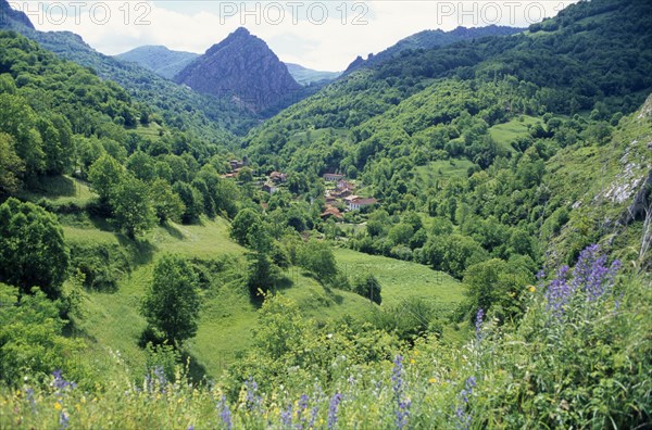 SPAIN, Picos de Europa, Castille y Leon, Ribota de Abajo mountain village.  Situated in green valley with trees and wild flowers.