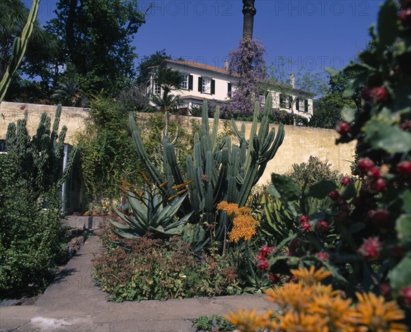 PORTUGAL, Madeira, Funchal, Botanic Garden