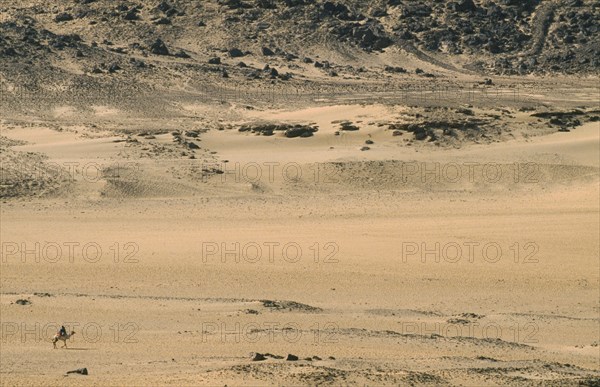 EGYPT,  , Aswan, Rider on camel in desert