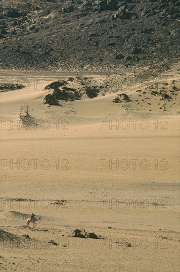 EGYPT, Aswan , Camel and rider in desert