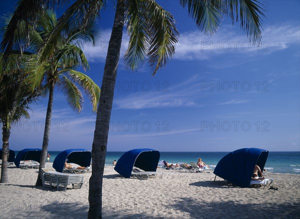 USA, Florida , Fort Lauderdale , Sunbathers sitting in blue Windbreaks on sandy beach lined with palm trees