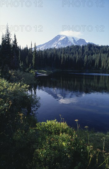 USA, Washington, Skamania, Mount St Helens National Volcanic Monument. View over lake toward the Volcano peak high above the trees