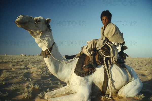 SUDAN, North, "Bedouin camel herder sitting on kneeling camel, shelters against desert winter wind "
