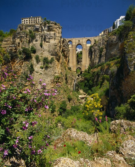 SPAIN, Andalucia, Malaga Province, "Ronda, Puente Nuevo Bridge spans deep rocky chasm, wild flowers in front "