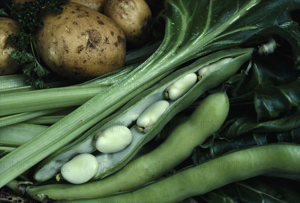 FOOD, Vegetables , "Broad beans, potatoes and spinach."