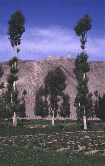 CHINA, Gansu, Jiayuguan, The Great Wall running down rocky hillside seen through trees