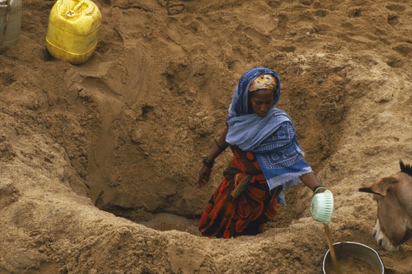 KENYA, General, NOT IN LIBRARY Boran woman digging for water in a dry riverbed