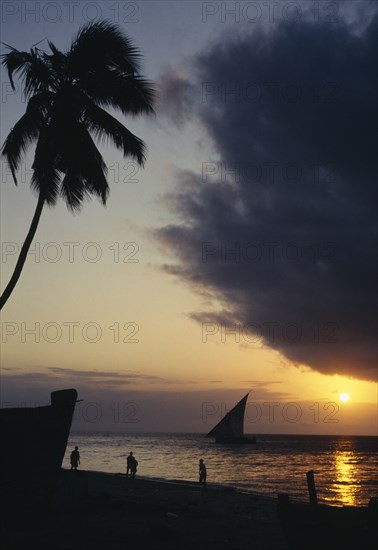 ZANZIBAR, Beach Scene, View over beach with overhanging palm and people with silhouetted dhow at sunset