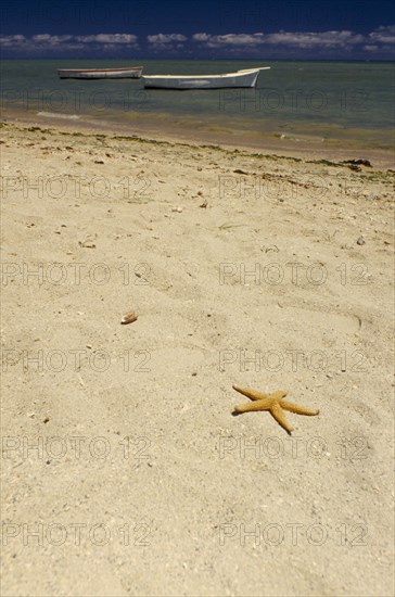 MAURITIUS, General,  Pointe aux Sables, Starfish shell on deserted beach with fishing boats at anchor