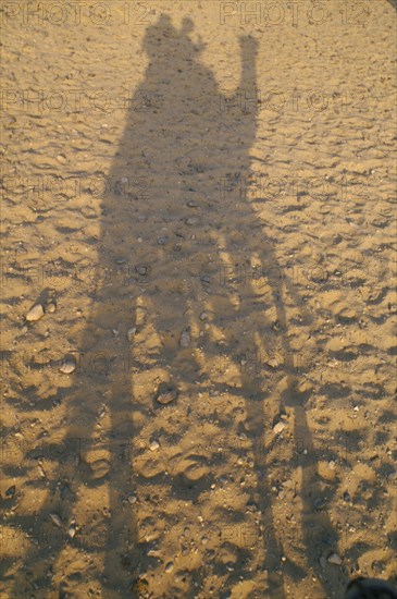 EGYPT, Desert, Silhouette in sand of Camel and Rider