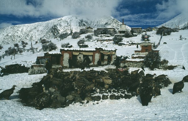 TIBET, Lhasa, Drigung Til, Hilltop sky burial site in the snow with vultures gathered on the ground in front of people and religious buildings