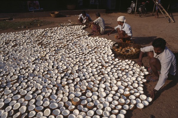 INDIA, Kerala  , Varkala, Laying out copra to dry in the sun.