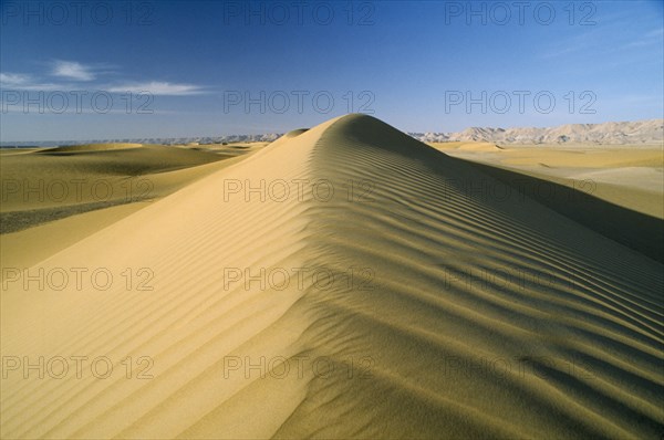 EGYPT, Western Desert , Ridge of sand dune
