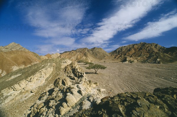 EGYPT,  , Sinai, Semi desert valley and mountains