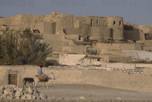 EGYPT, Western Desert, Farafra Oasis , Typical desert architecture with boy riding donkey carrying panniers in foreground.