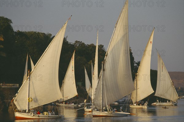 EGYPT, Aswan, Feluccas on the River Nile in the evening