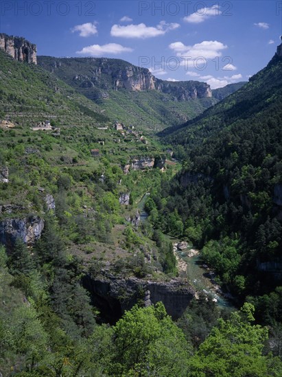 FRANCE, Languedoc Roussillon, Lozere, Sainte Enimie.  View along the Gorges du Tarn towards village set on steep hillside and tree covered rocky hills behind.