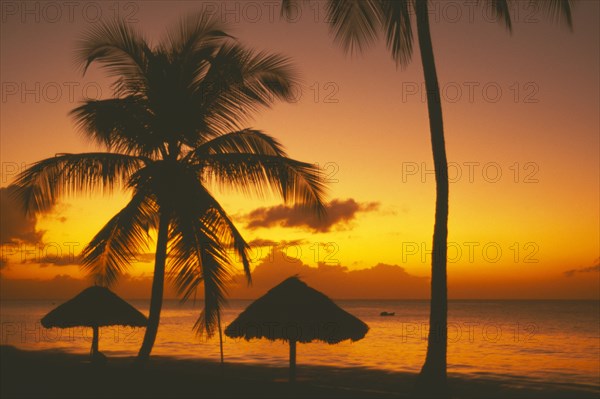 WEST INDIES, Tobago, Turtle Beach, Sunset at sea through coconut palm trees with thatched shelters on beach