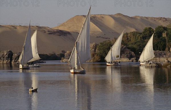 EGYPT, Upper Egypt, Aswan , Feluccas sailing on the Nile