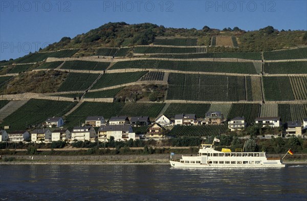 GERMANY, Rheinland-Pfalz, Rhine Gorge, Lorch.  Ferry on the River Rhine with waterside houses and hillside vineyards behind.