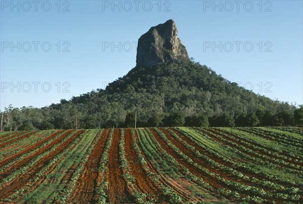AUSTRALIA, Queensland, Glasshouse Mountains, Cultivated land showing red soil with Mount Coonowrin behind.